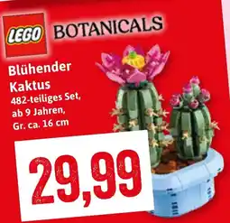 Stolz LEGO BOTANICALS Blühender Kaktus Angebot