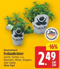 Edeka Center PflückBa Freilandkräuter Angebot