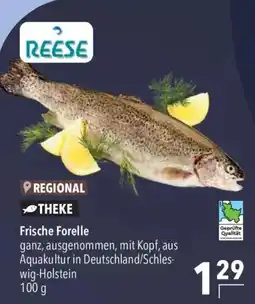CITTI Markt REESER Frische Forelle Angebot