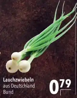 CITTI Markt Lauchzwiebeln Bund Angebot