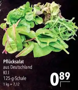 CITTI Markt Pflücksalat Angebot