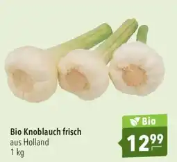CITTI Markt Bio Knoblauch frisch Angebot