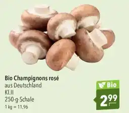 CITTI Markt Bio Champignons rosé Angebot