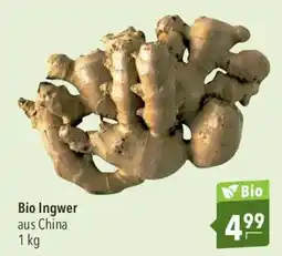 CITTI Markt Bio Ingwer Angebot