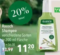 CITTI Markt Rausch Shampoo Angebot