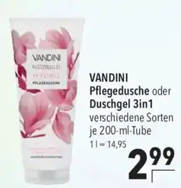 CITTI Markt VANDINI Pflegedusche oder Duschgel 3in1 Angebot