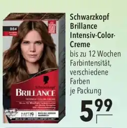 CITTI Markt Schwarzkopf Brillance Intensiv-Color-Creme Angebot