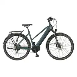 Netto Marken-Discount Prophete E-Bike Entdecker 4.8 RH50 Angebot