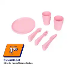 Action Picknick-Set Angebot