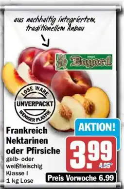 AEZ Baynard Frankreich Nektarinen oder Pfirsiche Angebot