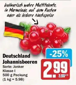 AEZ Deutschland Johannisbeeren Angebot