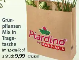 Bauhaus Grünpflanzen Mix in Tragetasche Angebot