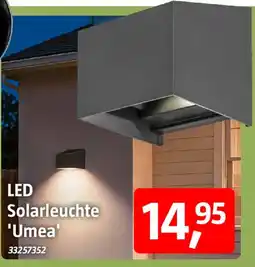 Bauhaus LED Solarleuchte 'Umea' Angebot