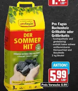 AEZ Pro Fagus Buchenholz Grillkohle oder Grillbriketts Angebot
