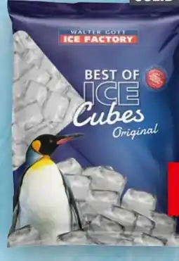 Handelshof Walter Gott Ice Factory Solid Cubes Angebot