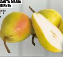 Handelshof Birnen Santa Maria Angebot