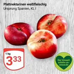 Globus Plattnektarinen weißfleischig Angebot