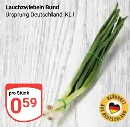 Globus Lauchzwiebeln Bund Angebot