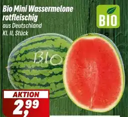 Simmel Bio Mini Wassermelone rotfleischig Angebot