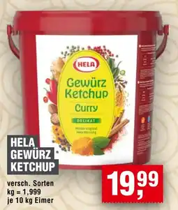 Handelshof HELA Gewürz Ketchup Curry Angebot