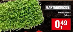Handelshof GARTENKRESSE Deutschland Schale Angebot