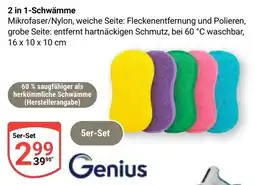 Globus 2 in 1-Schwämme Genius Angebot