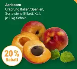 Globus Aprikosen Angebot