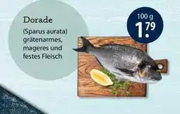 V Markt Dorade (Sparus aurata) Angebot