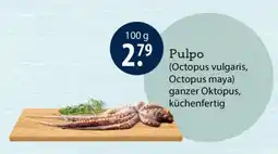 V Markt Pulpo Angebot