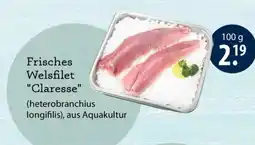 V Markt Frisches Welsfilet "Claresse" Angebot