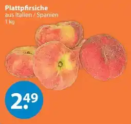 V Markt Plattpfirsiche Angebot