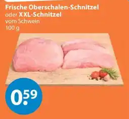 V Markt Frische Oberschalen-Schnitzel oder XXL-Schnitzel vom Schwein Angebot