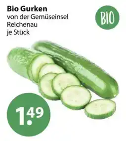 V Markt Bio Gurken von der Gemüseinsel Reichenau Angebot