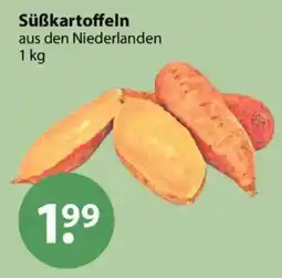 V Markt Süßkartoffeln Angebot