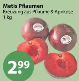 V Markt Metis Pflaumen Angebot