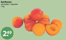 V Markt Aprikosen Angebot