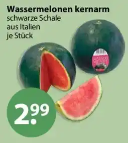 V Markt Wassermelonen kernarm schwarze Schale Angebot