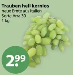 V Markt Trauben hell kernlos Angebot