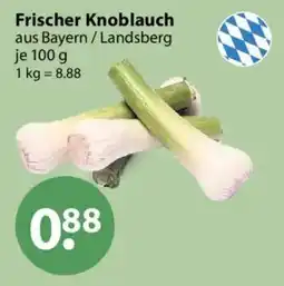 V Markt Frischer Knoblauch Angebot