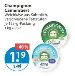 V Markt Champignon Camembert Angebot