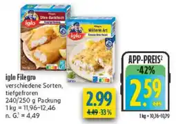 diska iglo File gro Angebot