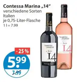 V Markt Contessa Marina „14“ Angebot