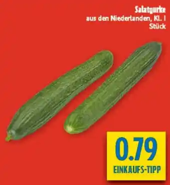 diska Salatgurke Angebot