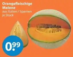 V Markt Orangefleischige Melone Angebot