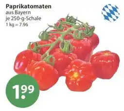 V Markt Paprikatomen Angebot