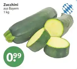 V Markt Zucchini Angebot