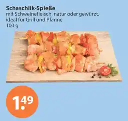 V Markt Schaschlik-Spieße Angebot