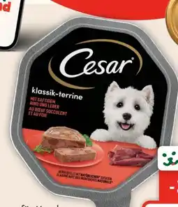 Fressnapf Cesar Hunde Nassnahrung Angebot