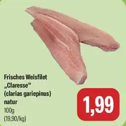 Feneberg Frisches Welsfilet ,,Claresse" Angebot