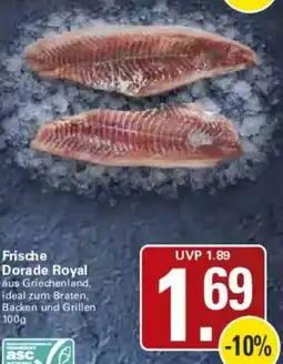 WEZ Dorade Royal Angebot
